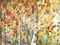 Watercolor Fall Aspens Poster Print by Tre Sorelle Studios - Item # VARPDXRB11808TS